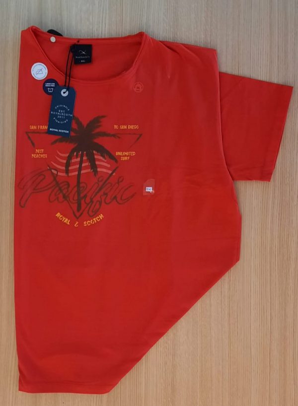Remera R y S Royal Scoth