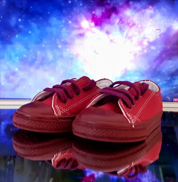 Zapatilla Con Cordon Chapatito